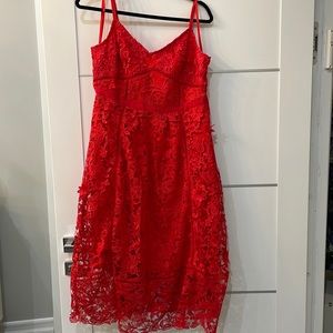 New Ted baker London dress a line